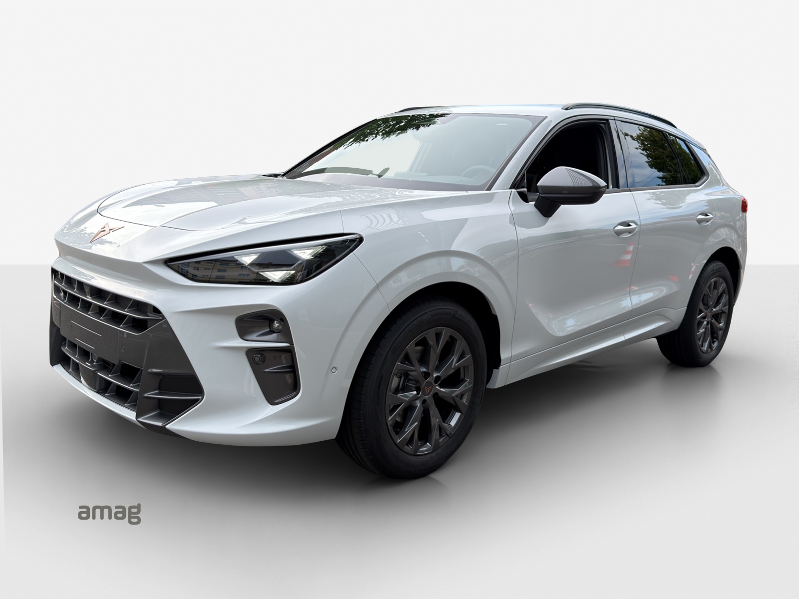 CUPRA Terramar 1.5 eTSI Prime Edition DSG-image-0