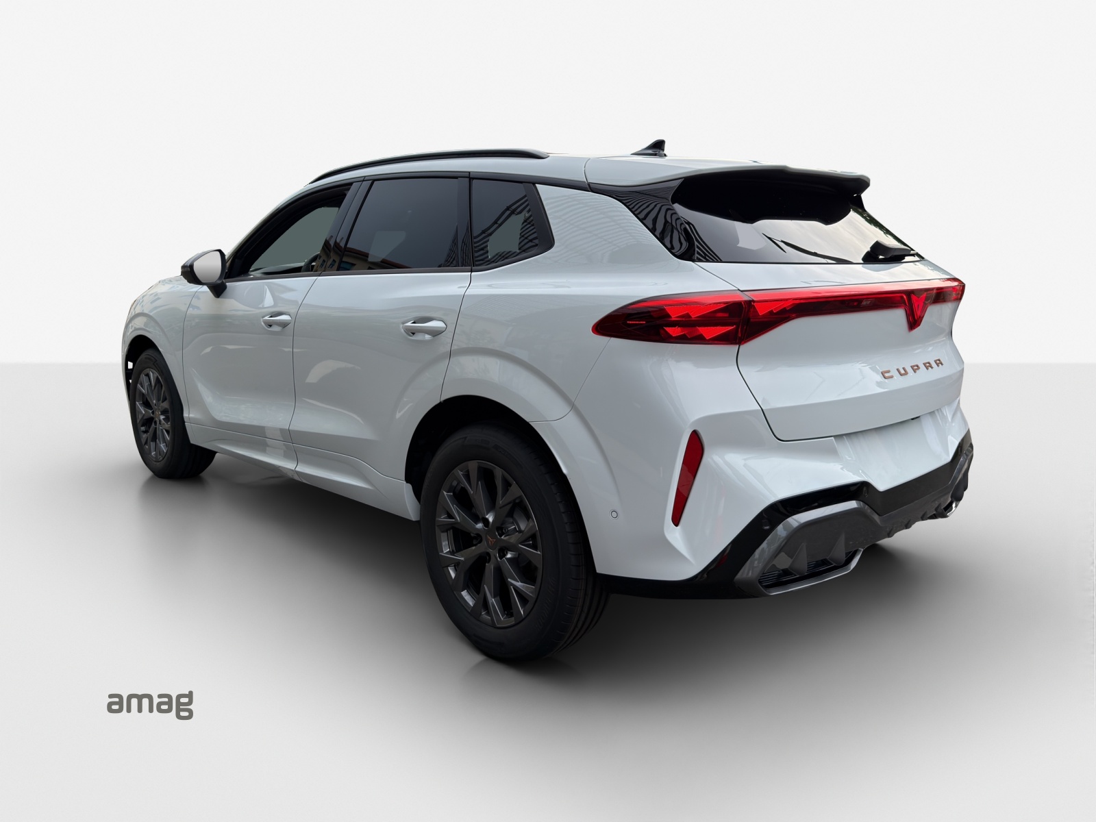 CUPRA Terramar 1.5 eTSI Prime Edition DSG-image-2