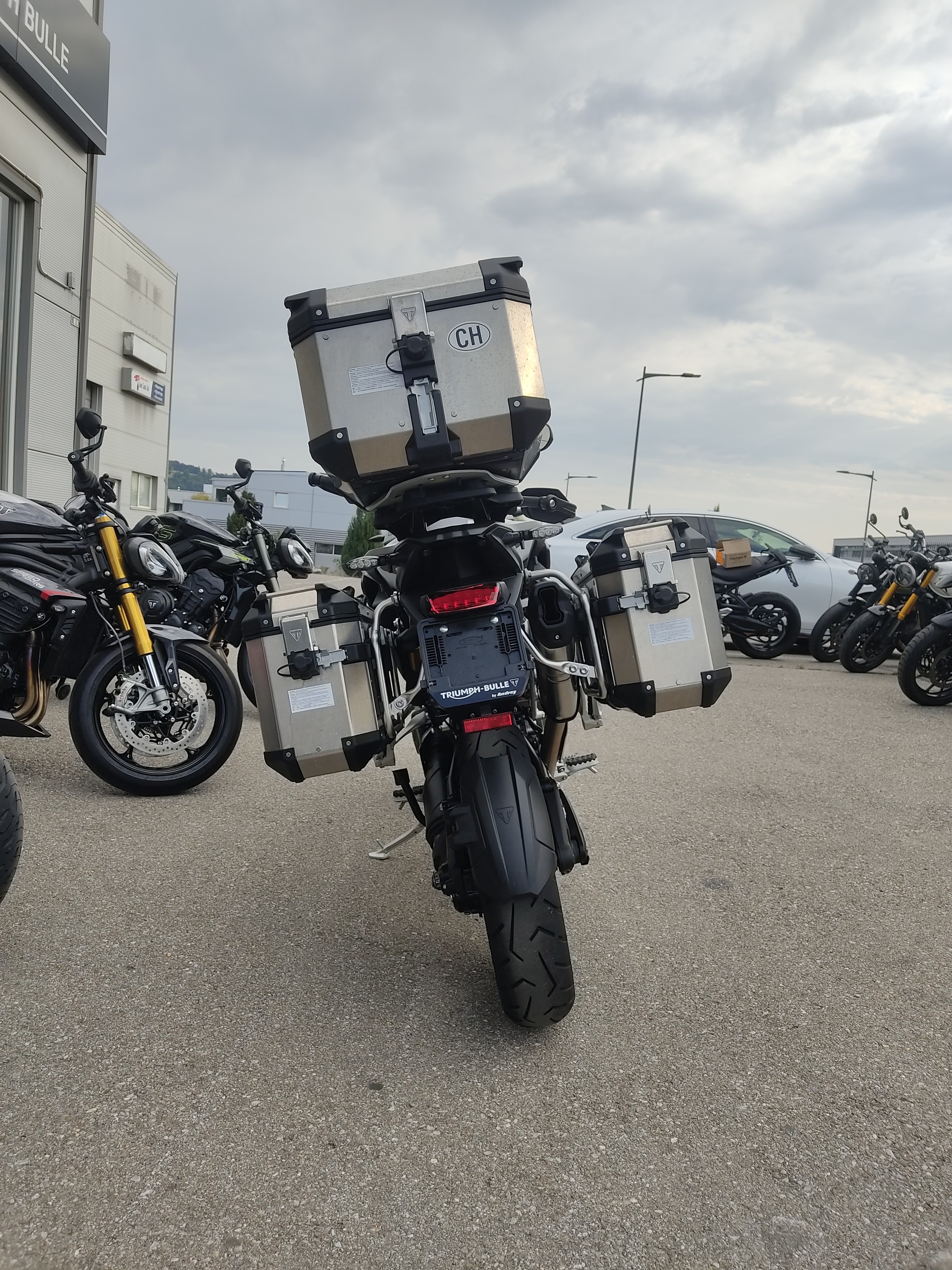 TRIUMPH Tiger 1200 GT Pro-image-5