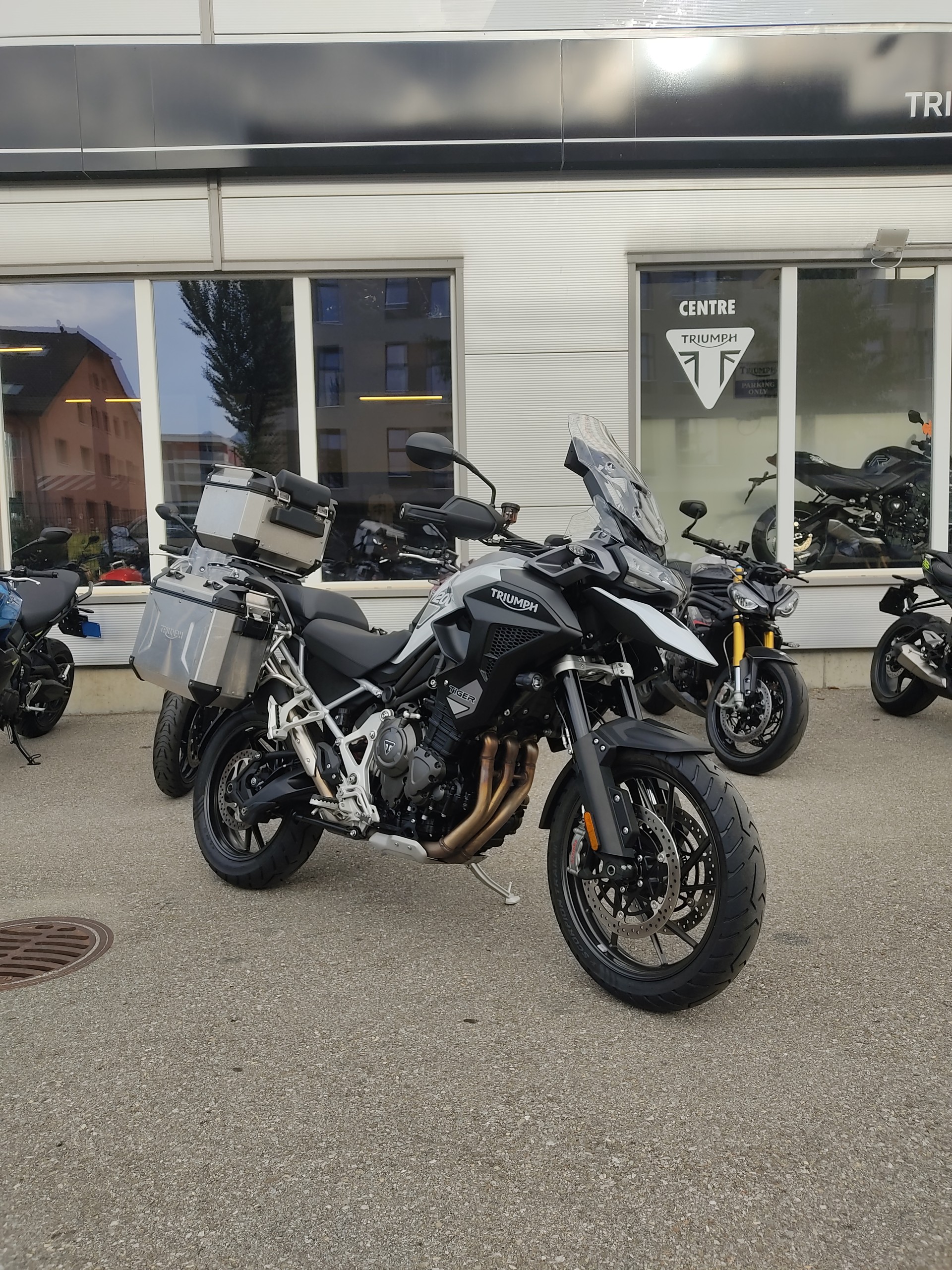 TRIUMPH Tiger 1200 GT Pro
