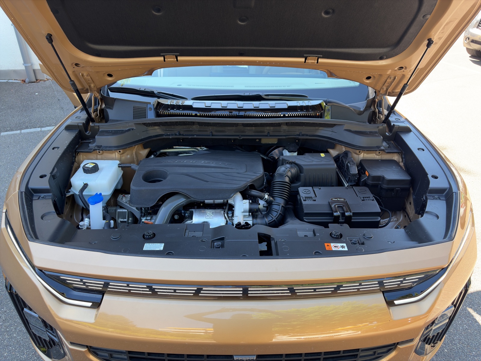 KGM-SsangYong Actyon 1.5 T-Gdi First Edition 4WD-image-15
