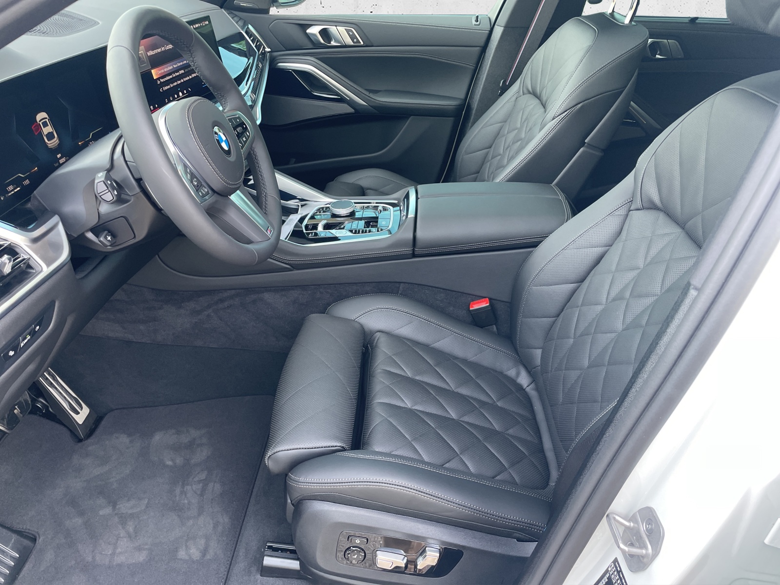 BMW X6 xDr 48V 30d M SportPro-image-9