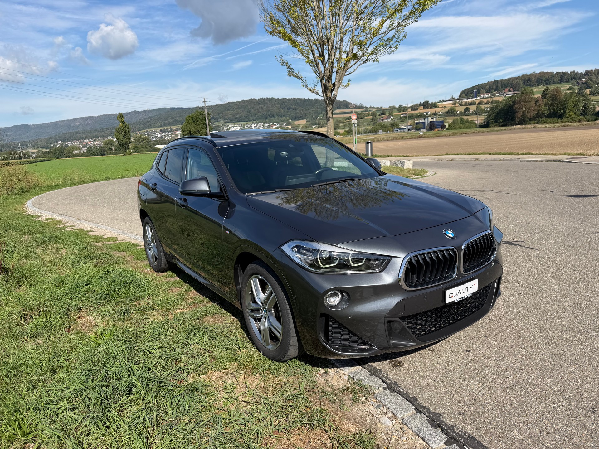 BMW X2 xDrive 20d M Sport Steptronic-image-2