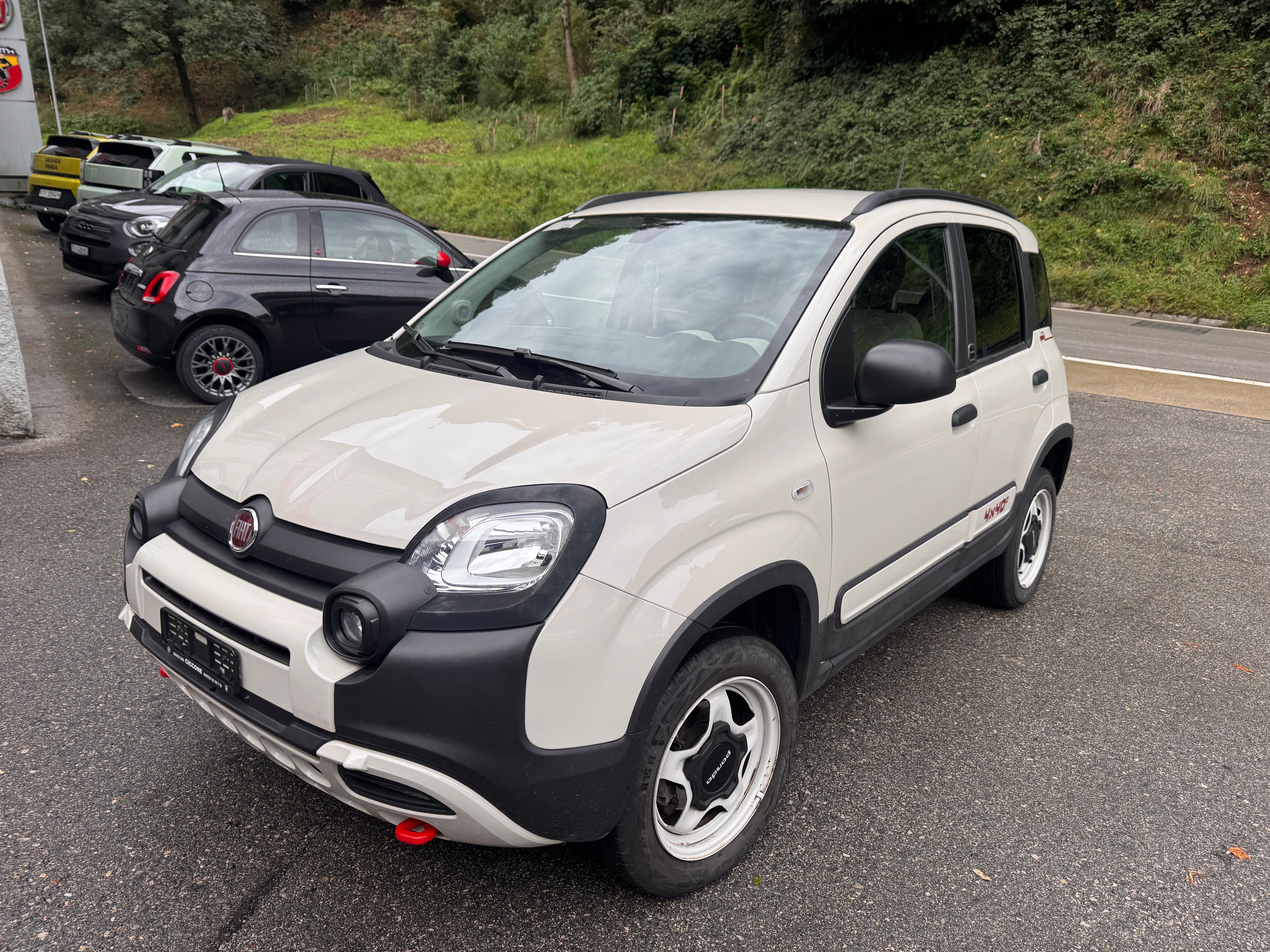 Car photo