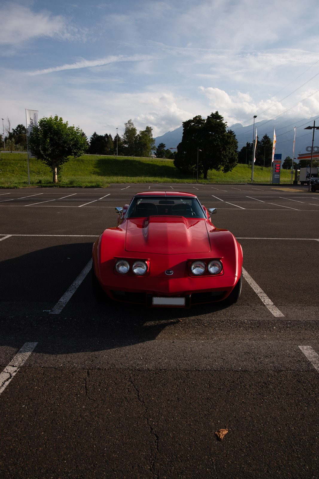 CHEVROLET CORVETTE C3 Targa-image-4