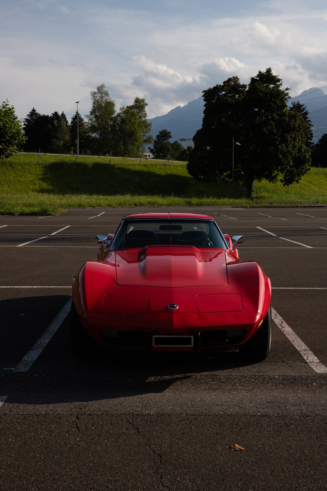 CHEVROLET CORVETTE C3 Targa-image-0