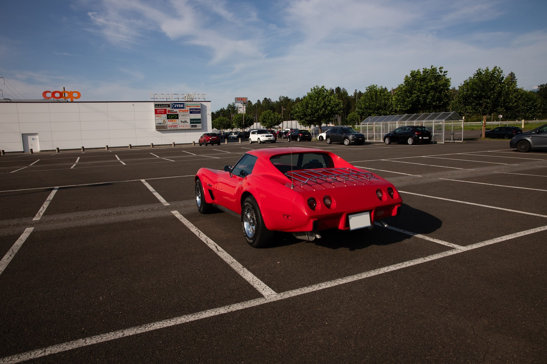 CHEVROLET CORVETTE C3 Targa-image-3