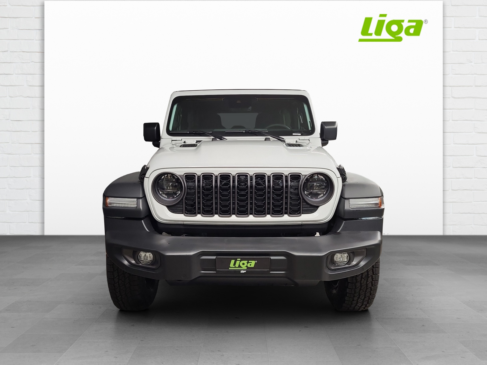 JEEP Wrangler 2.0 Turbo Rubicon Power Unlimited-image-2