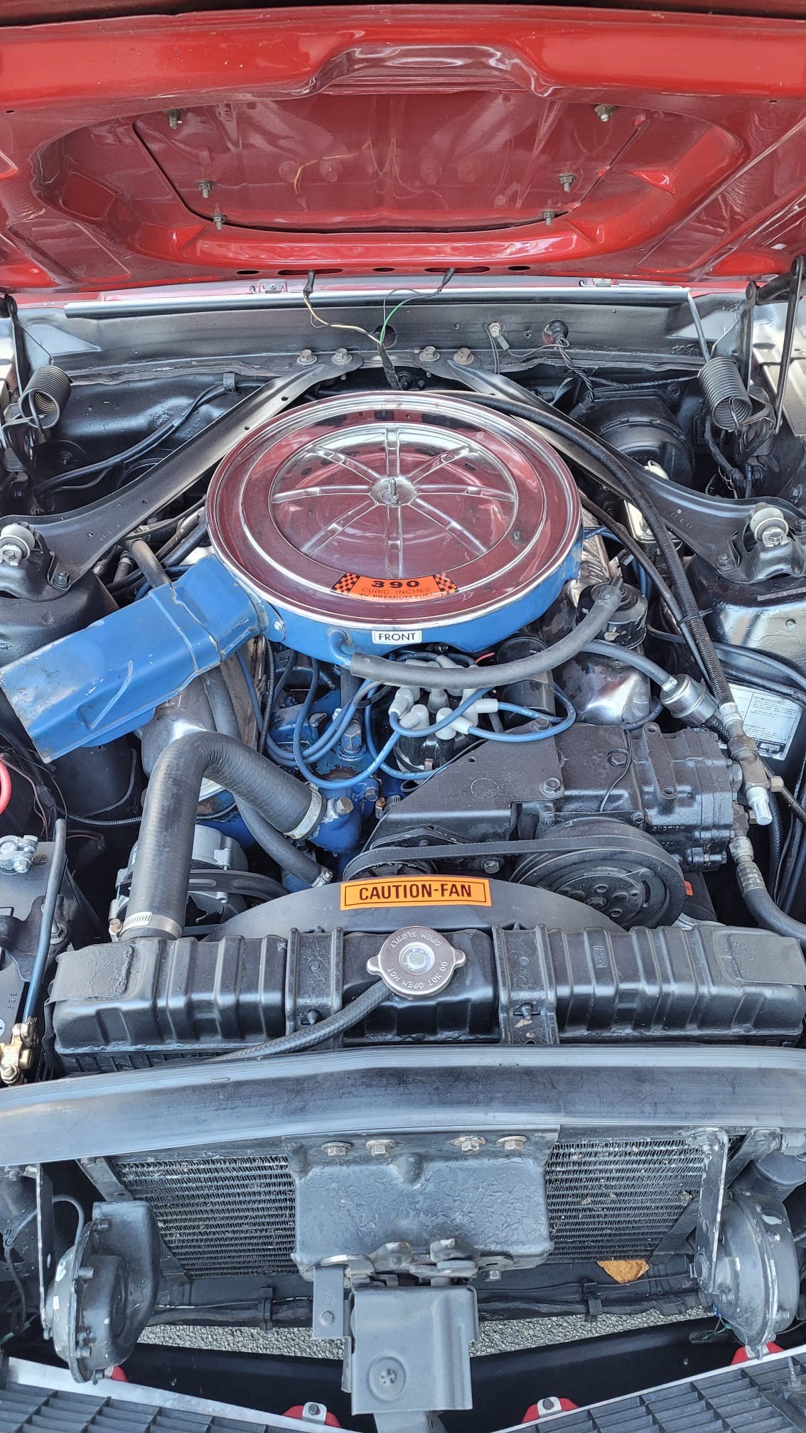 FORD MUSTANG Mach1 390 cui-image-11