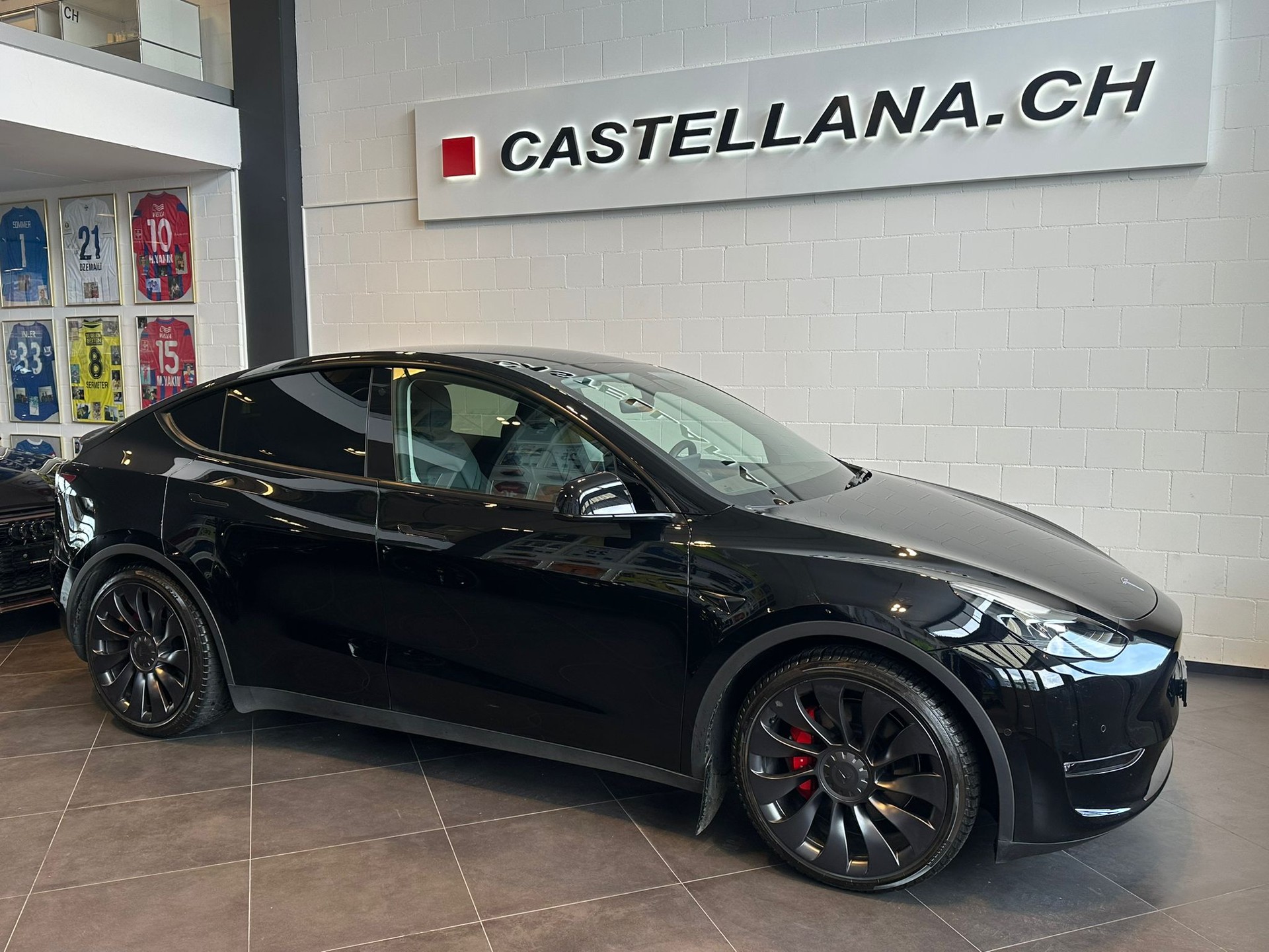 TESLA Model Y Performance-image-0
