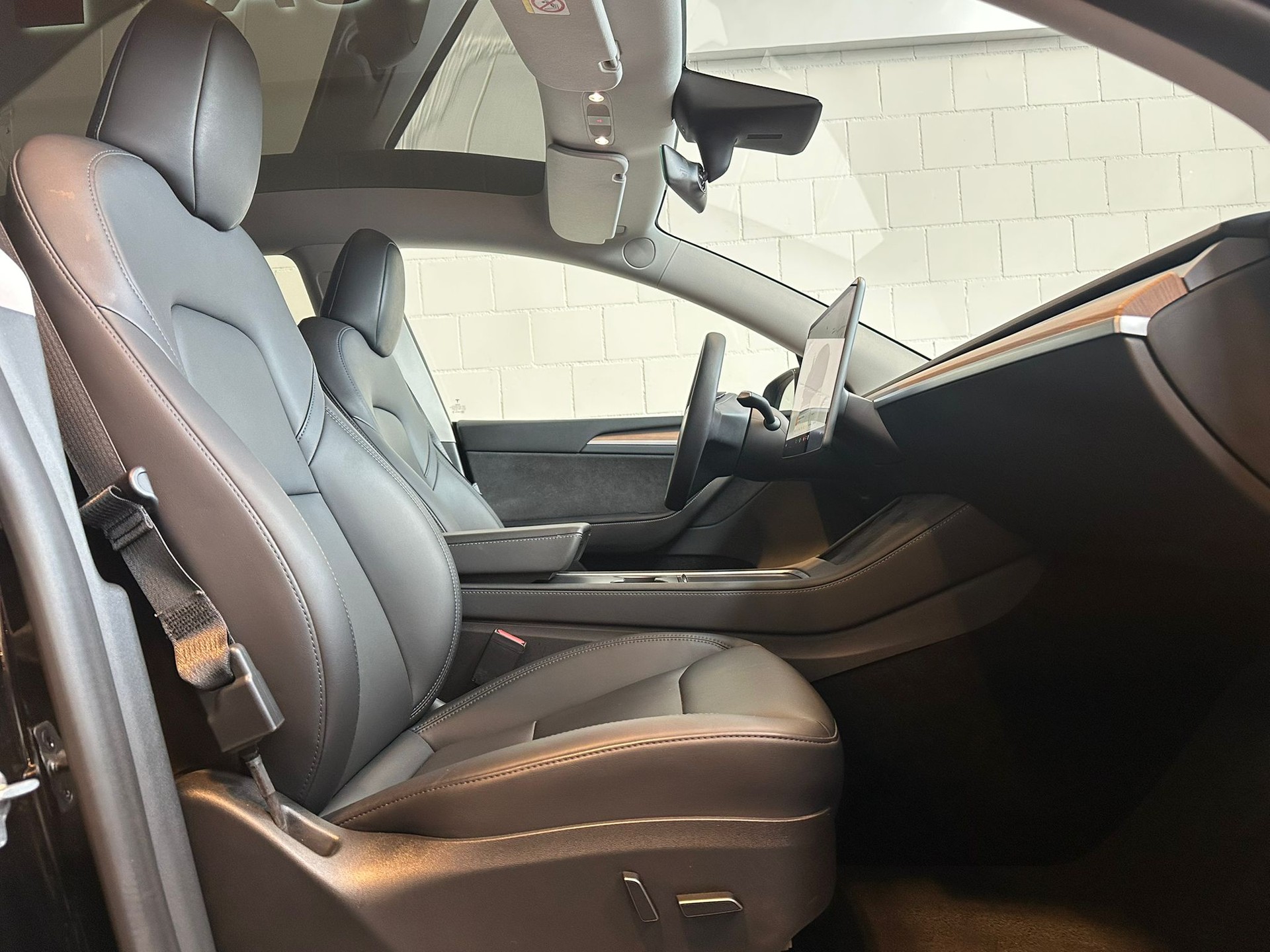 TESLA Model Y Performance-image-7