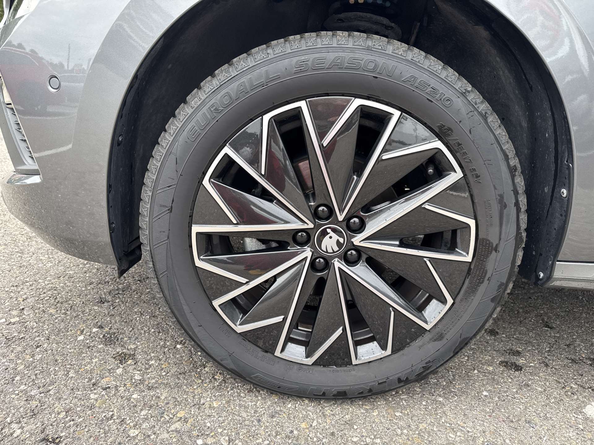 SKODA Kamiq 1.5 TSi Selection DSG-Automat-image-8