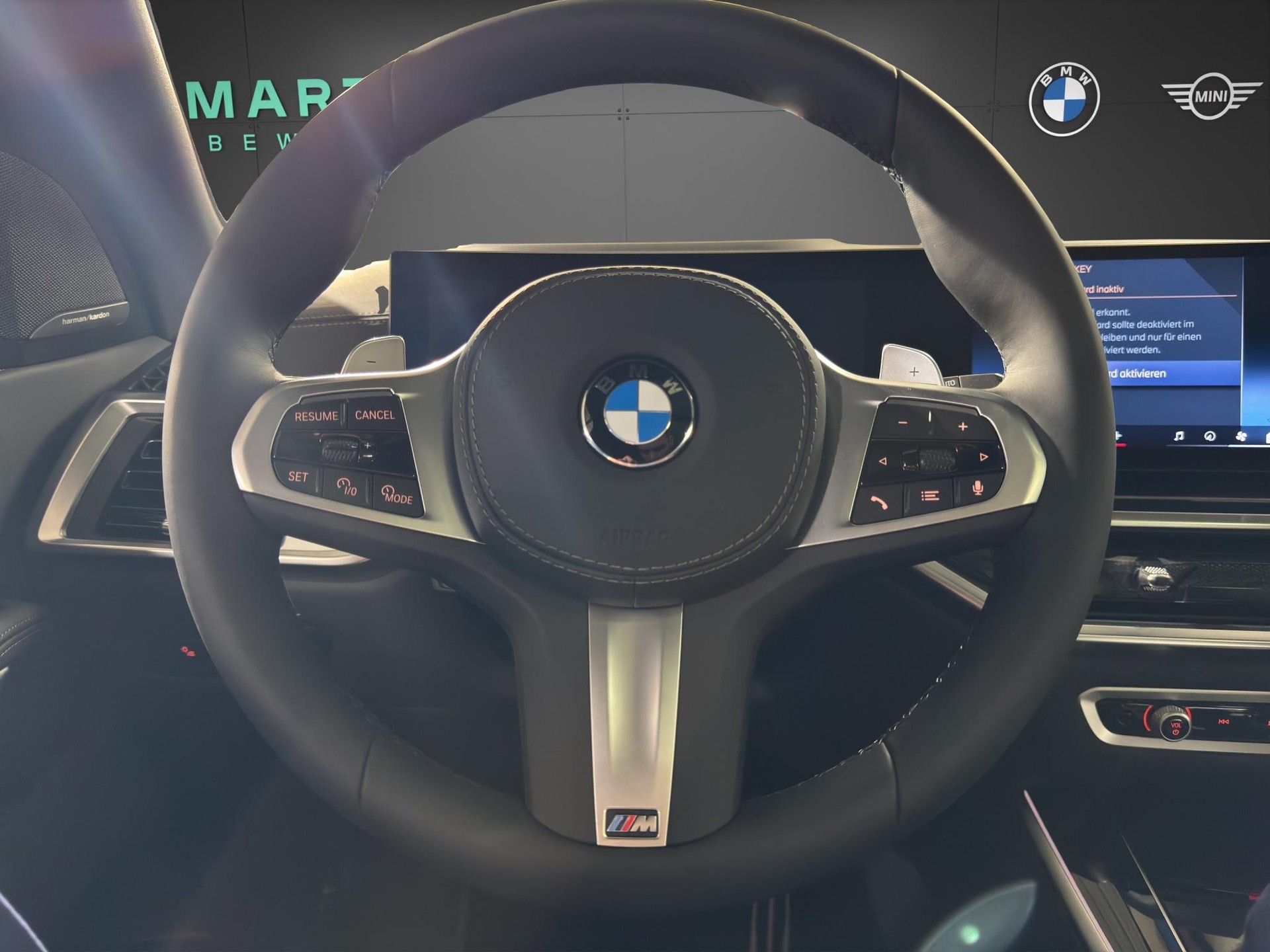 BMW X5 30d xDrive SAG-image-13