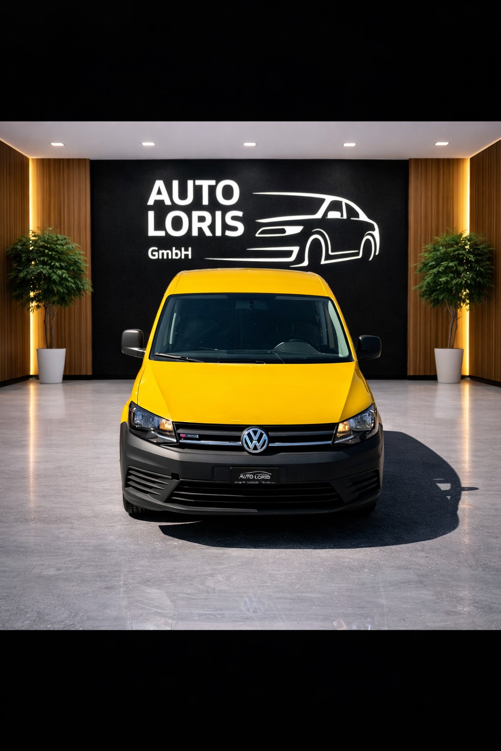 VW CADDY 2.0 TDl 4x4 Allrad-image-2