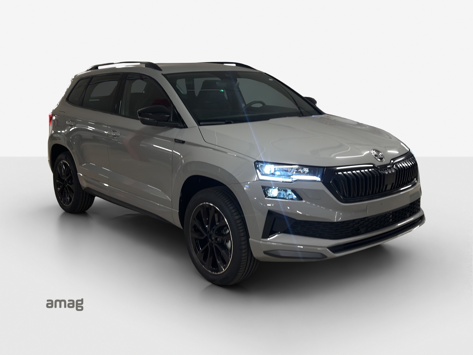 SKODA Karoq 2.0 TSI SportLine 4x4 DSG-image-5