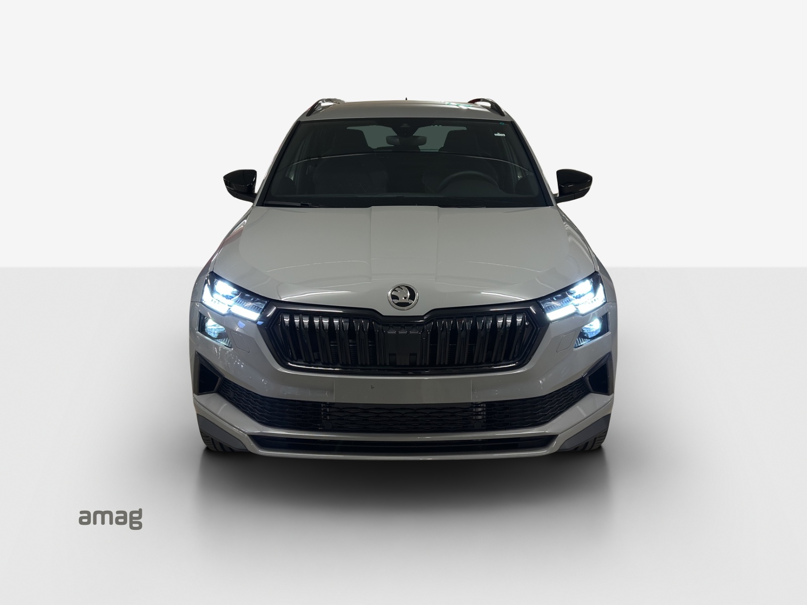 SKODA Karoq 2.0 TSI SportLine 4x4 DSG-image-6