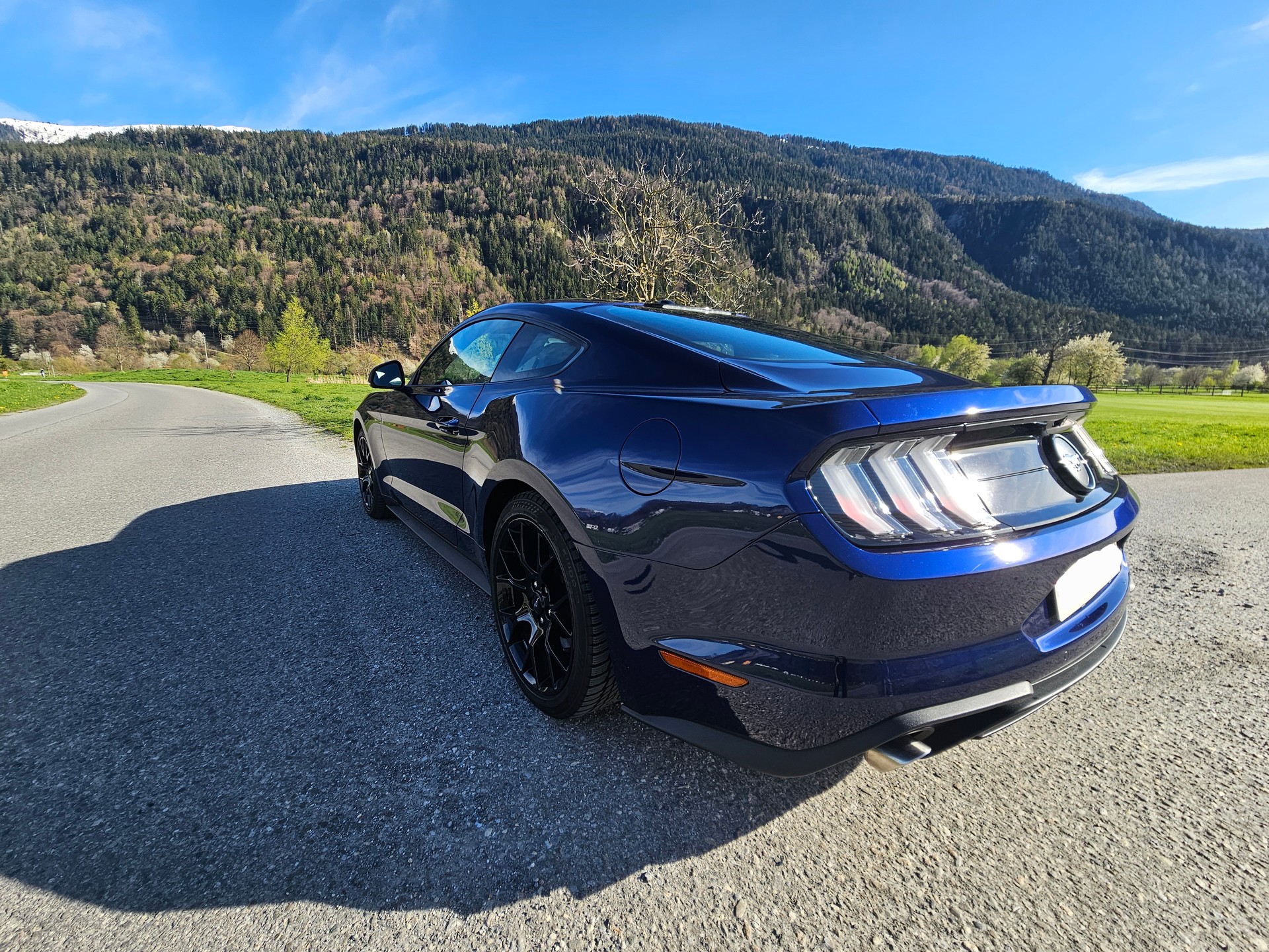 FORD Mustang Fastback 2.3 Automat-image-9