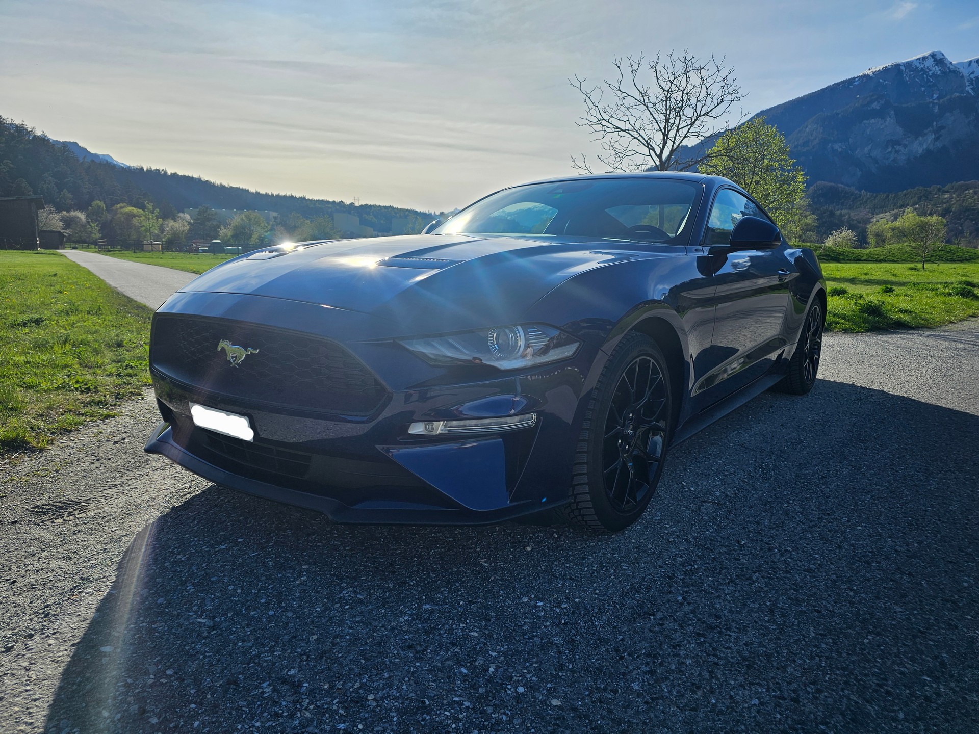 FORD Mustang Fastback 2.3 Automat-image-6