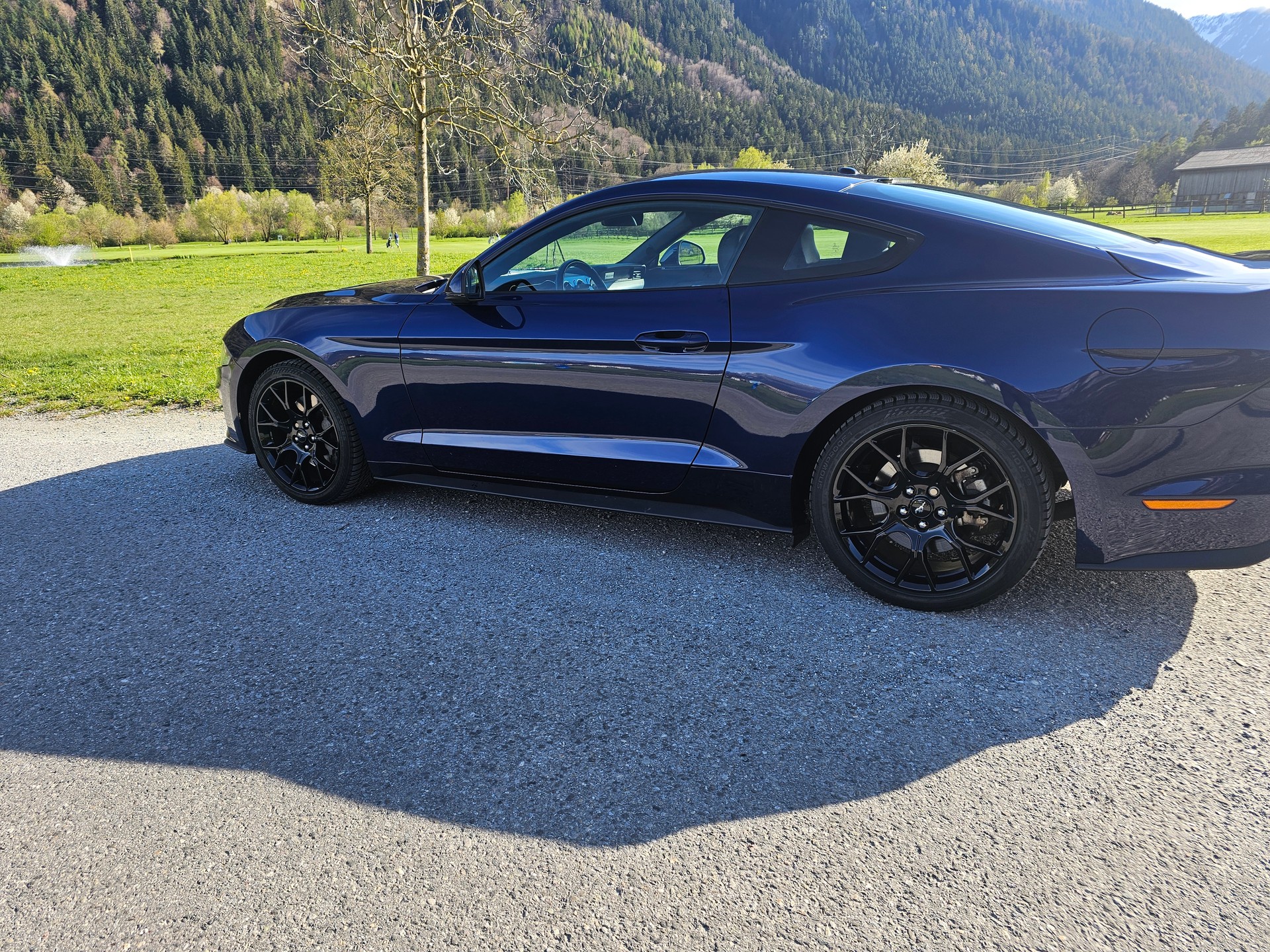 FORD Mustang Fastback 2.3 Automat-image-7