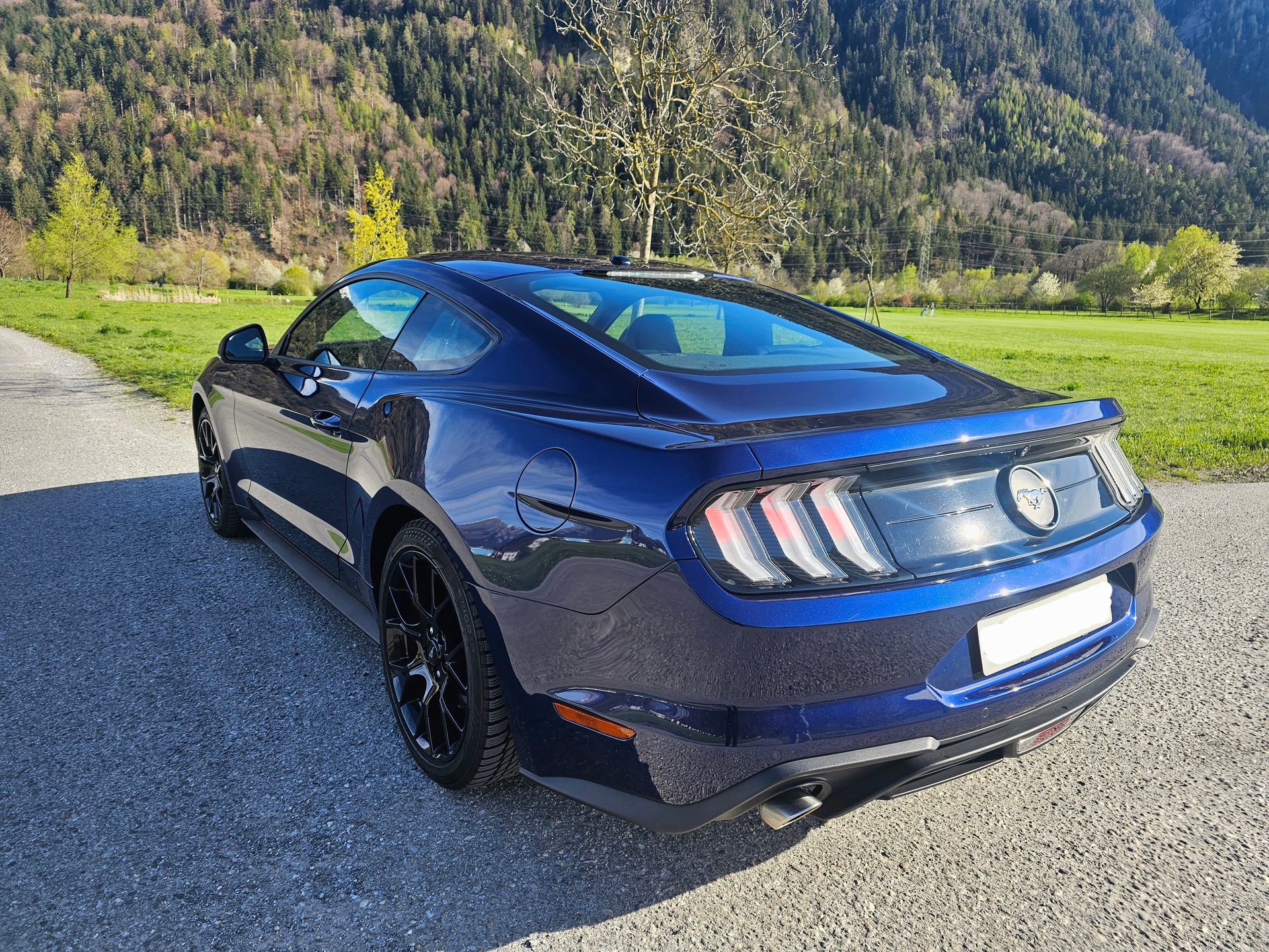 FORD Mustang Fastback 2.3 Automat-image-8