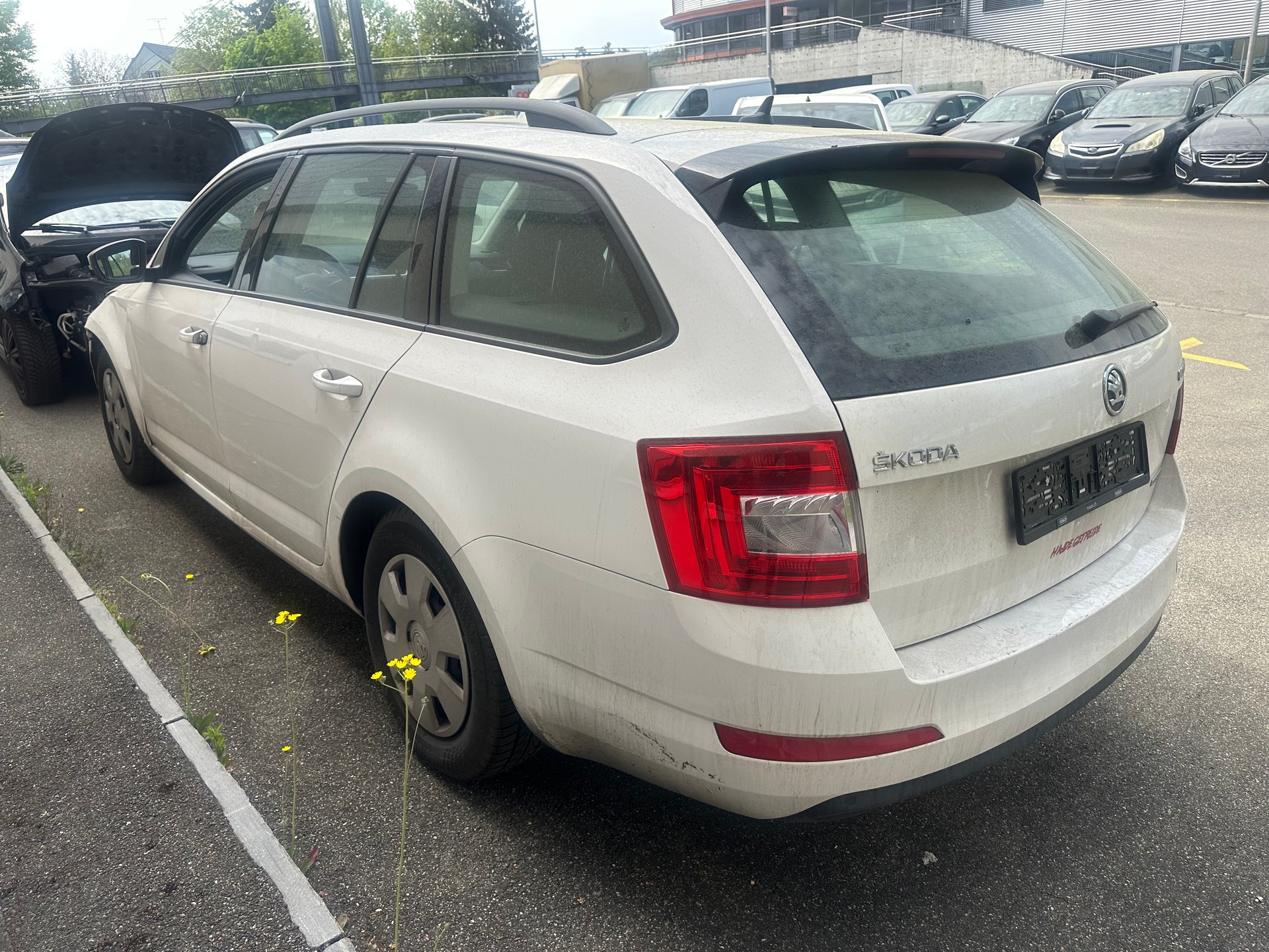 SKODA Octavia Combi 1.6 TDI GreenLine-image-3