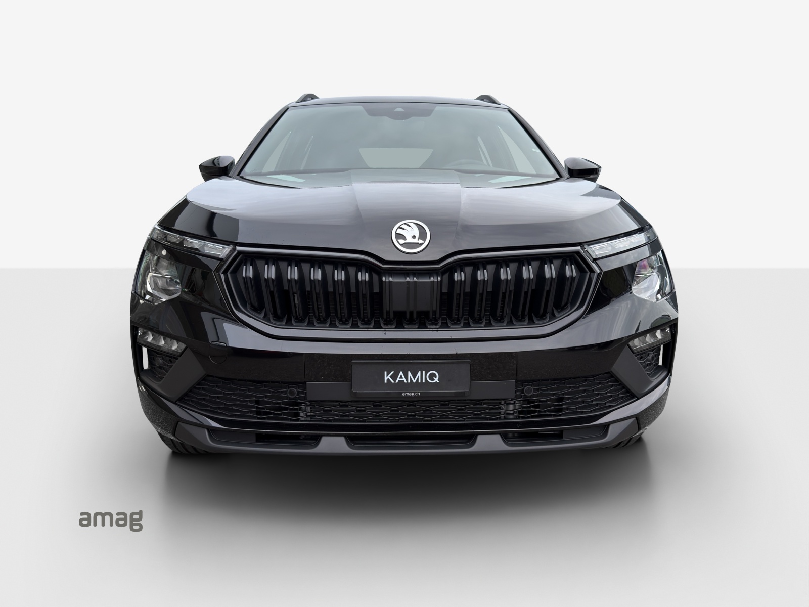 SKODA Kamiq 1.5 TSI Dynamic DSG-image-5