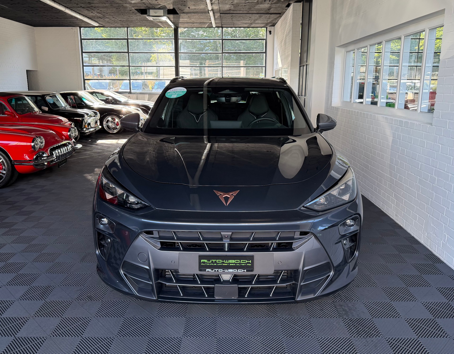 CUPRA Terramar 2.0 TSI 204 PS 4X4 DSG 4Drive Business Edition (CH) PACK EVO LITE-image-6