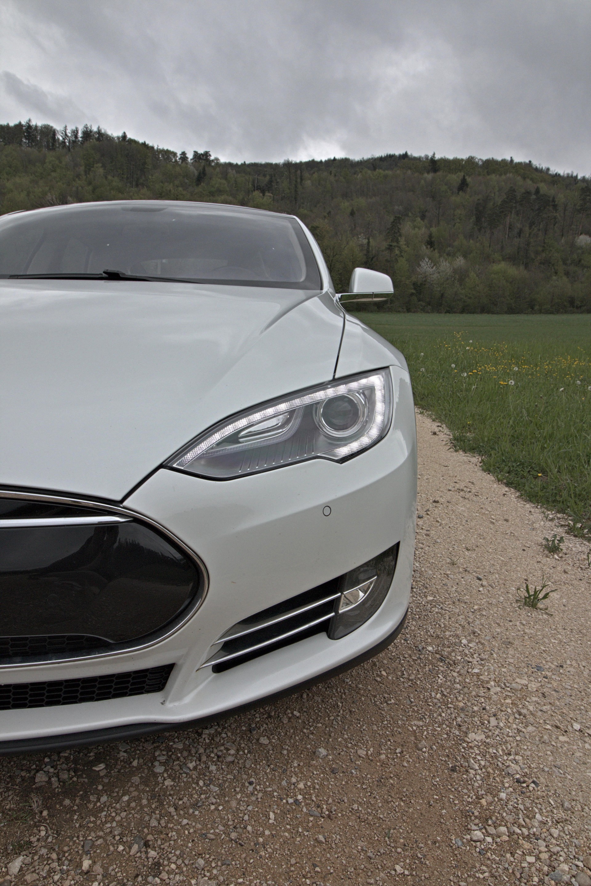 TESLA 85 Performance-image-2