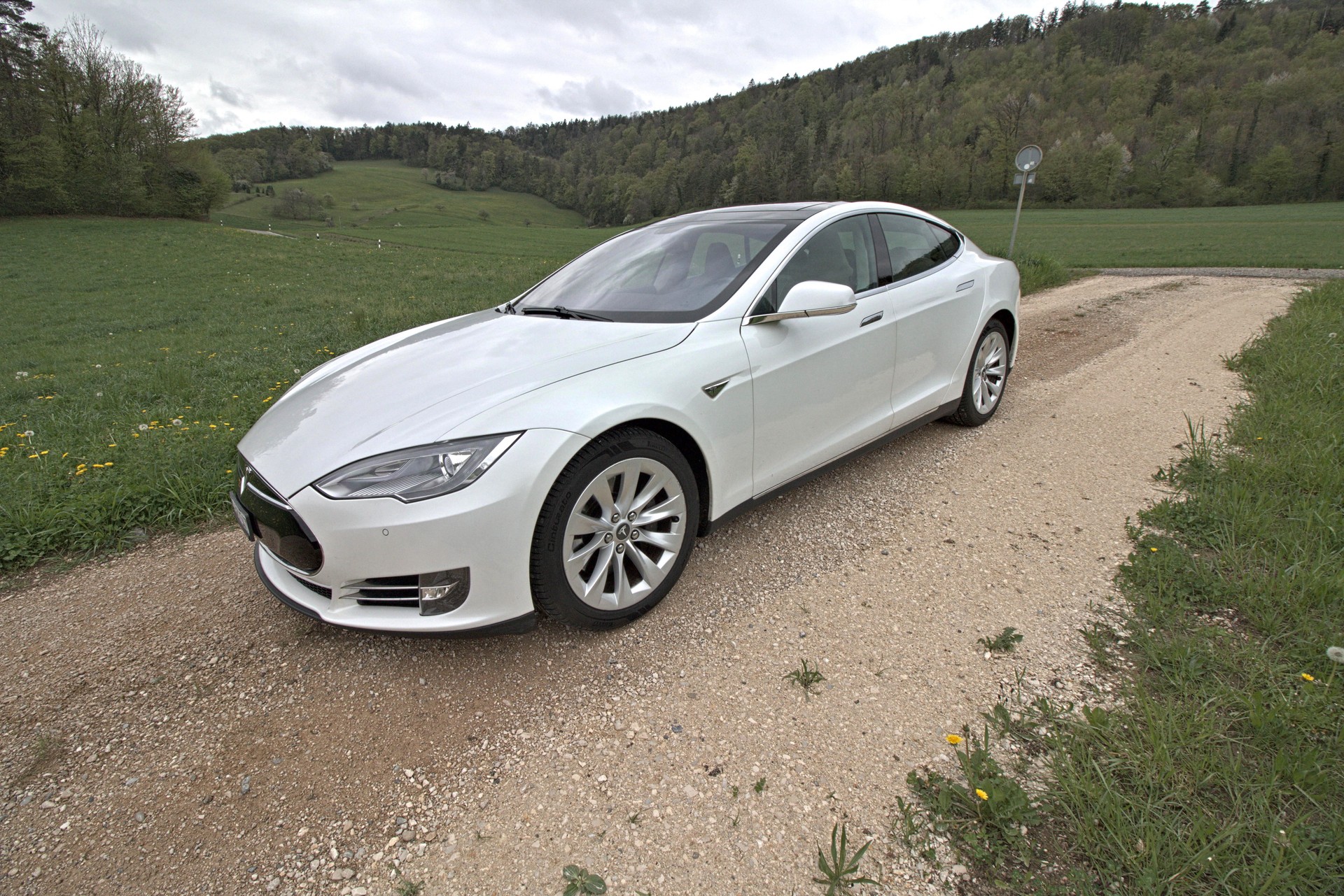 TESLA 85 Performance-image-0
