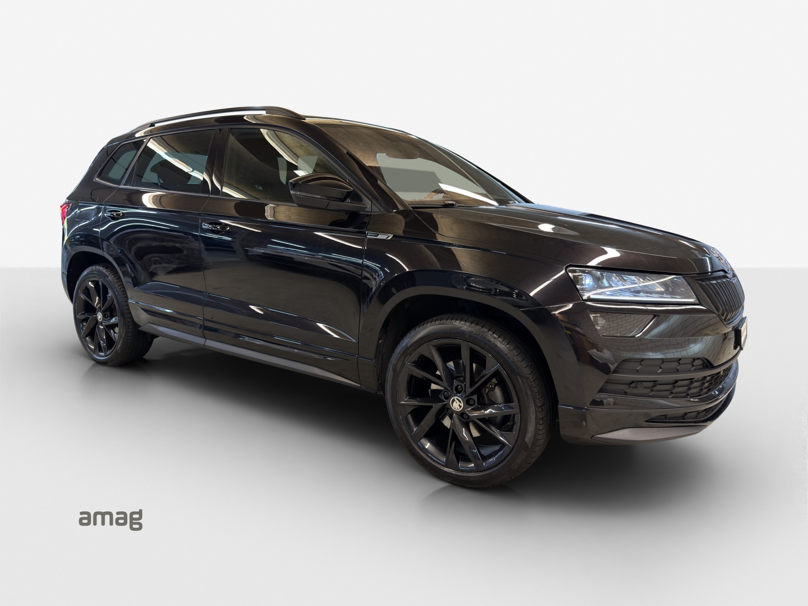 SKODA Karoq 2.0 TSI SportLine 4x4 DSG-image-5