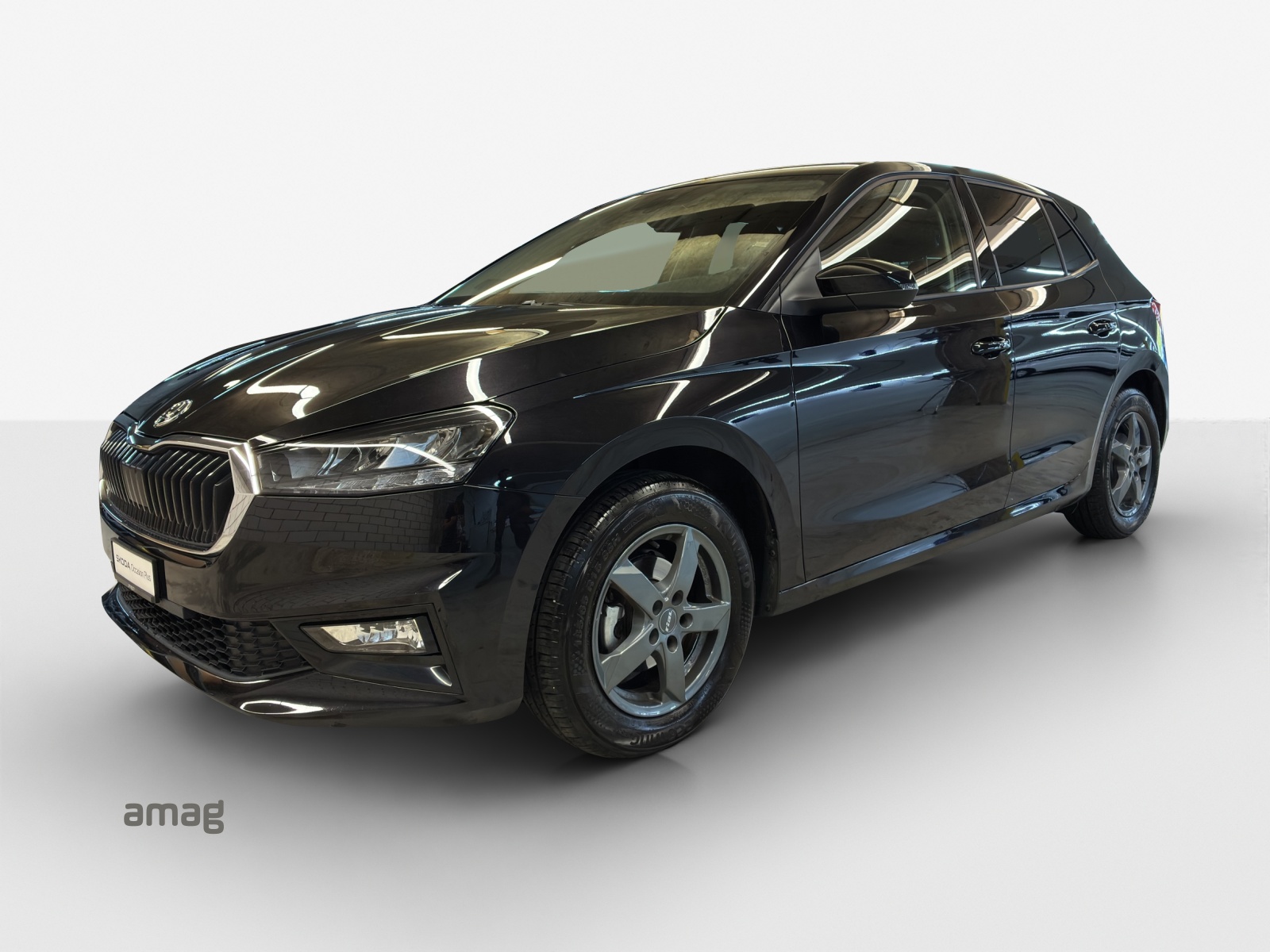 SKODA Fabia 1.0 TSI Selection