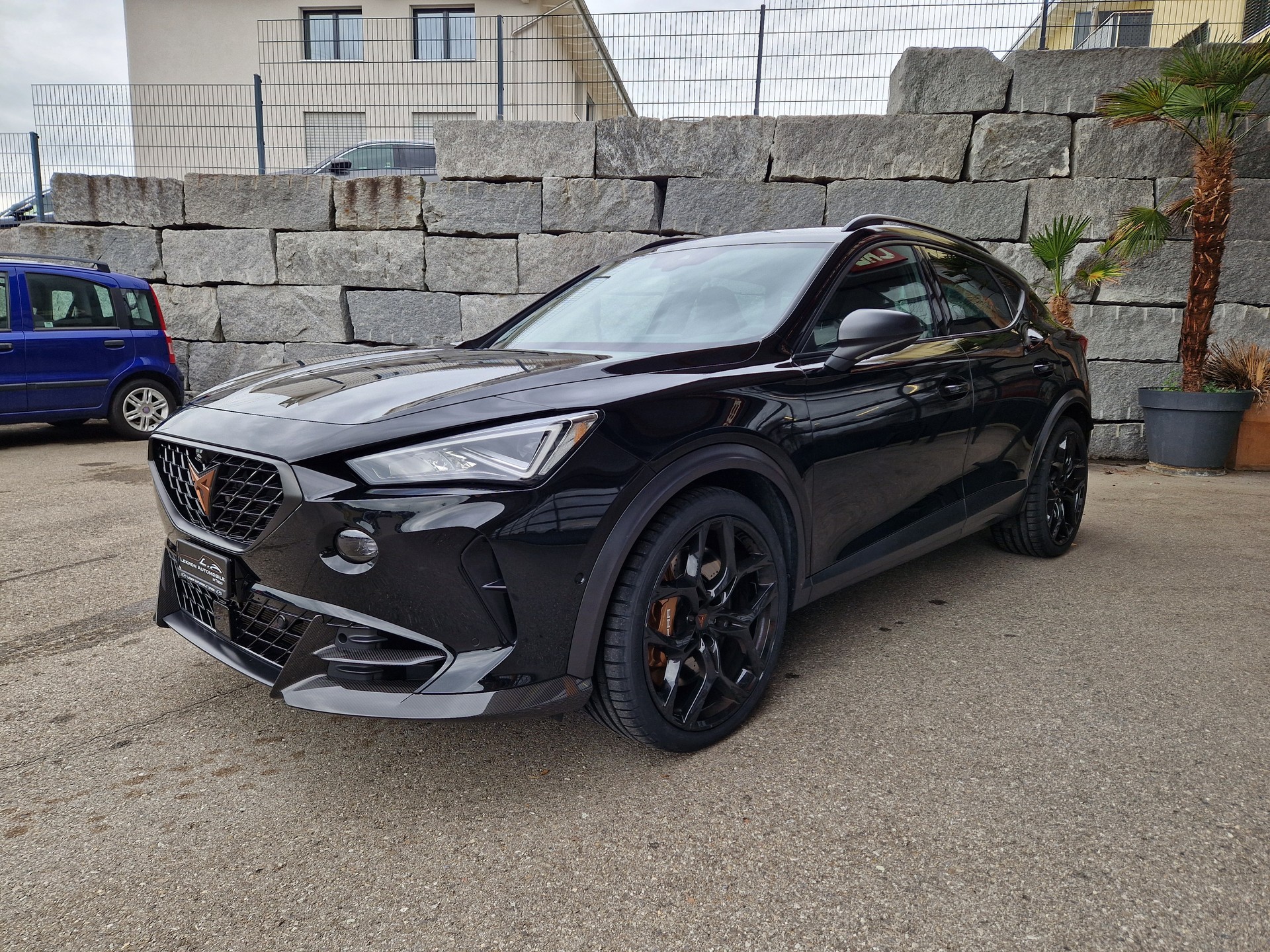 CUPRA Formentor 2.5TSI VZ5 4Drive DSG-image-2