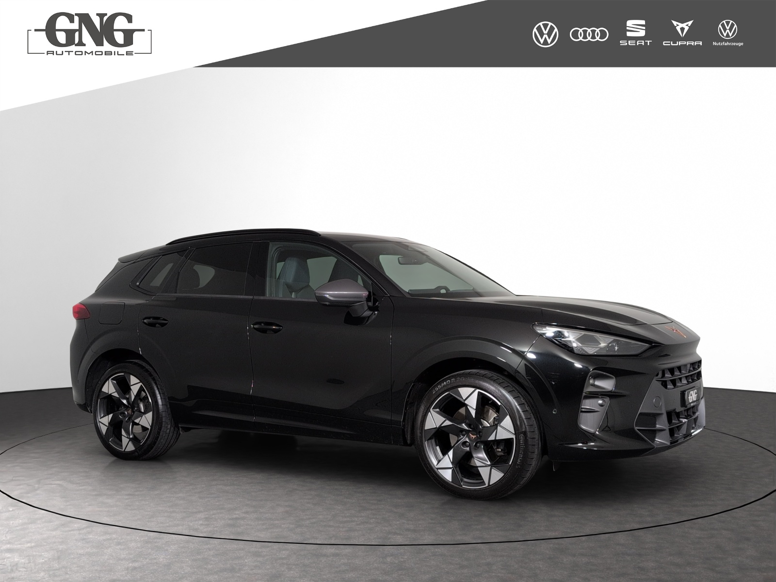 CUPRA Terramar 2.0 TSI DSG 4Drive VZ-image-3