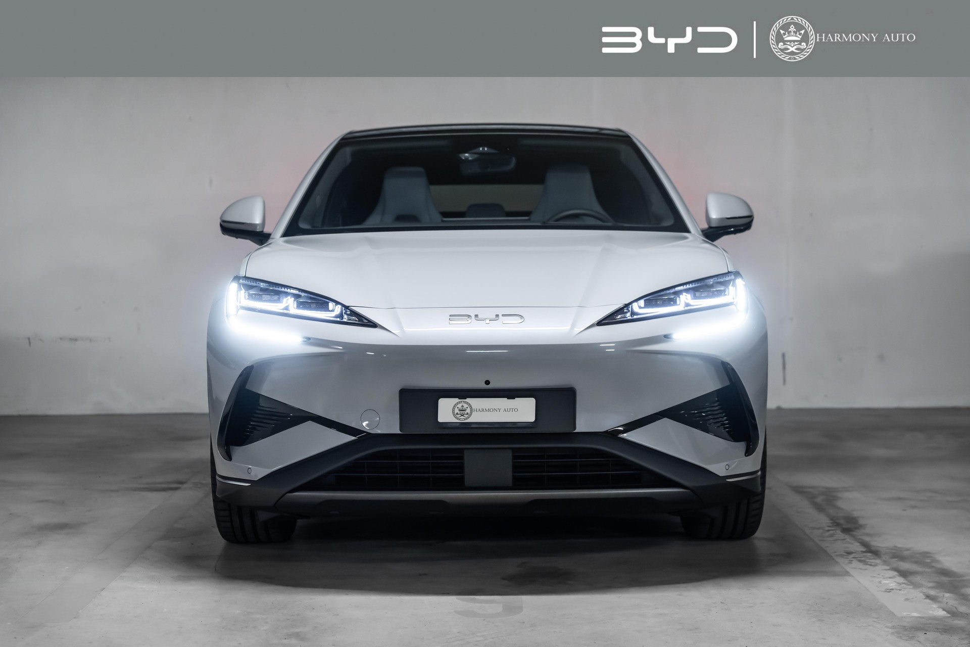BYD Sealion 7 Excellence AWD-image-0