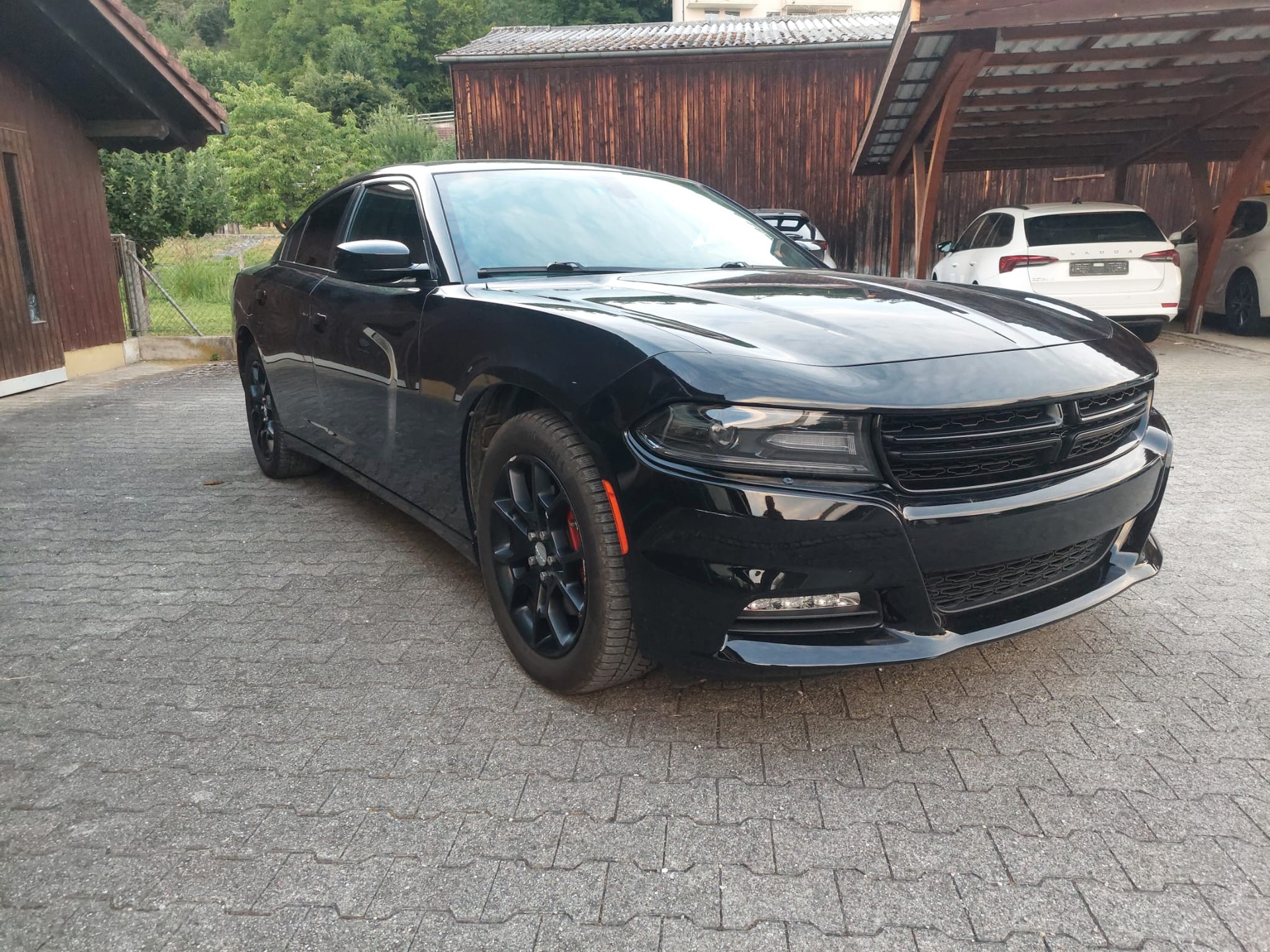 DODGE Rally-image-0