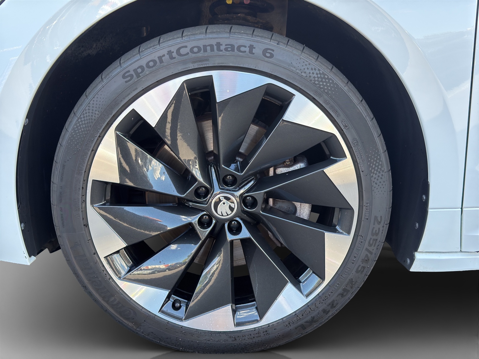 SKODA Enyaq iV 80x SportLine-image-13