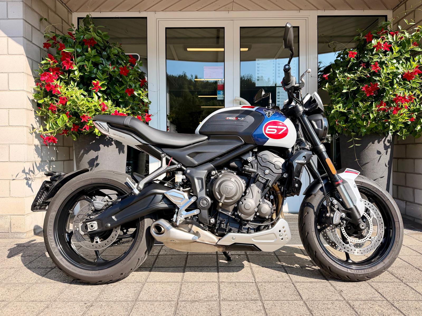 TRIUMPH Trident 660-image-6