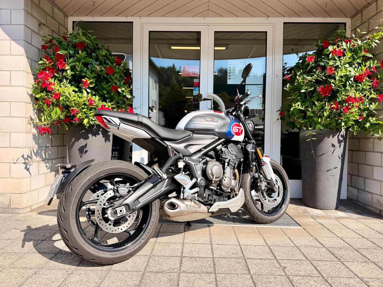 TRIUMPH Trident 660-image-7