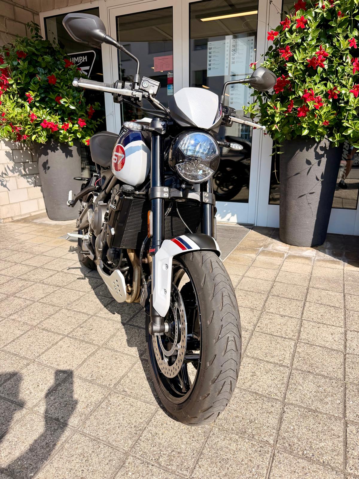 TRIUMPH Trident 660-image-10