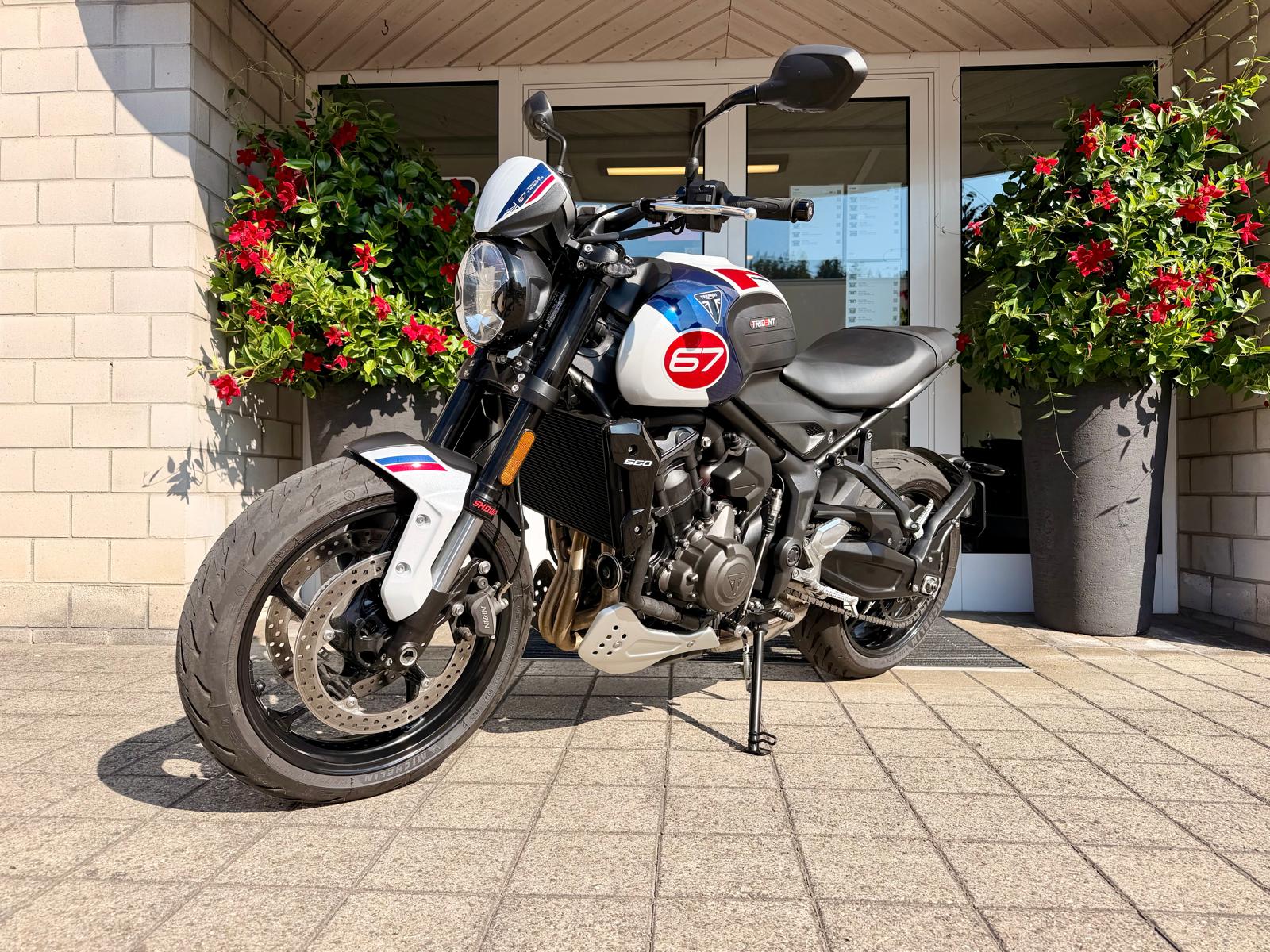 TRIUMPH Trident 660-showroom-element-2