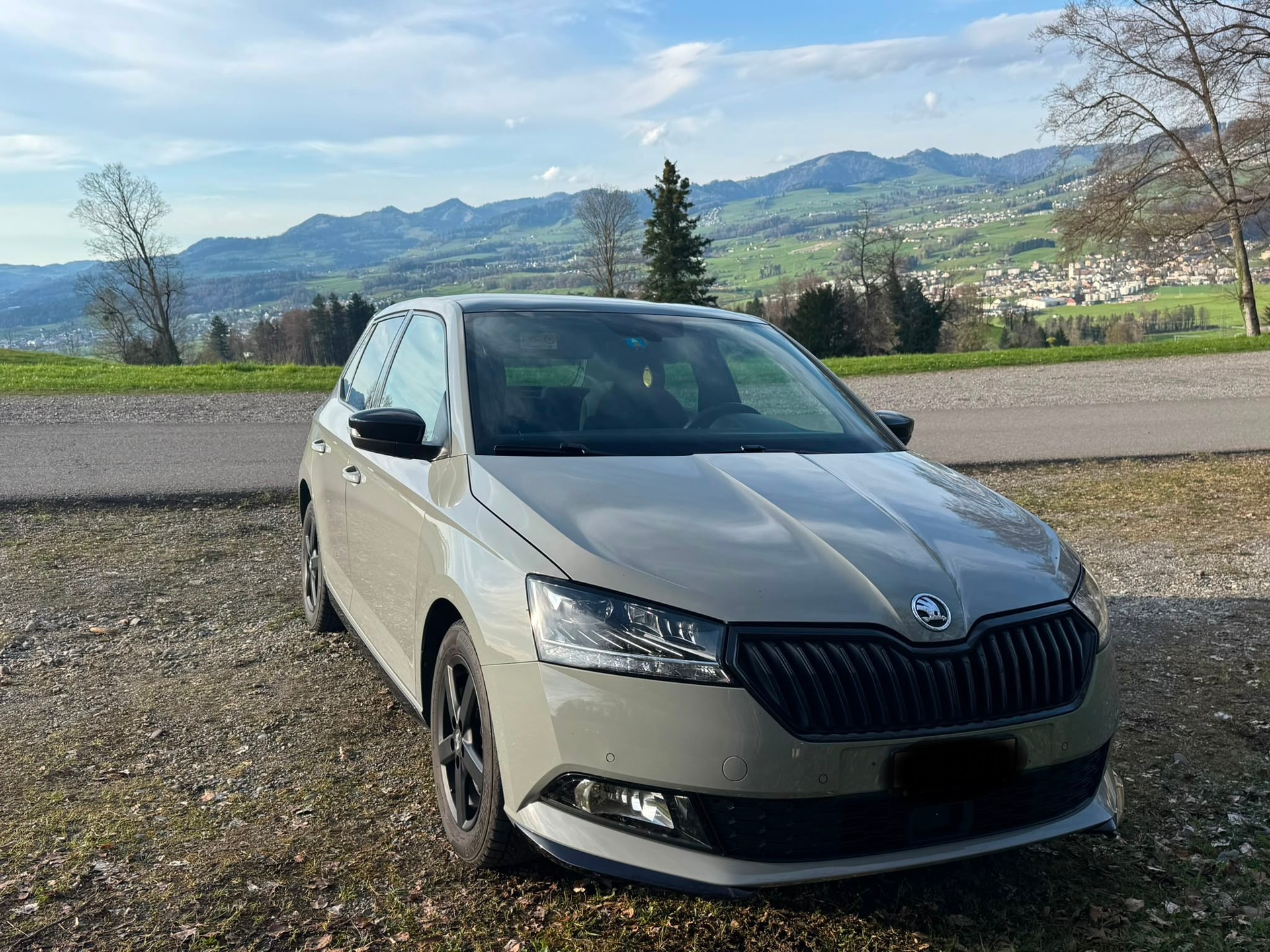 SKODA 1.0 TSI Monte Carlo DSG-image-0