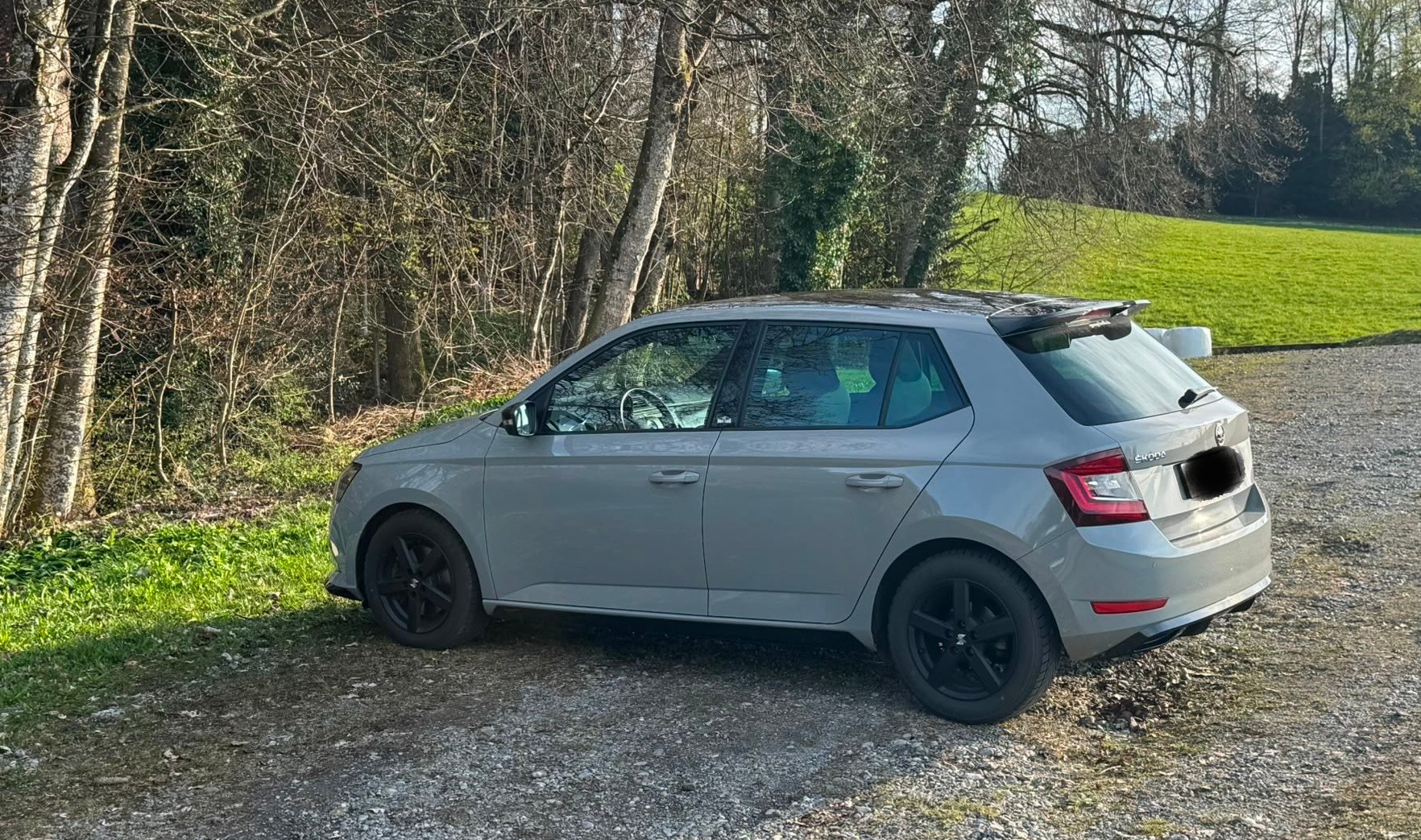 SKODA 1.0 TSI Monte Carlo DSG-image-2