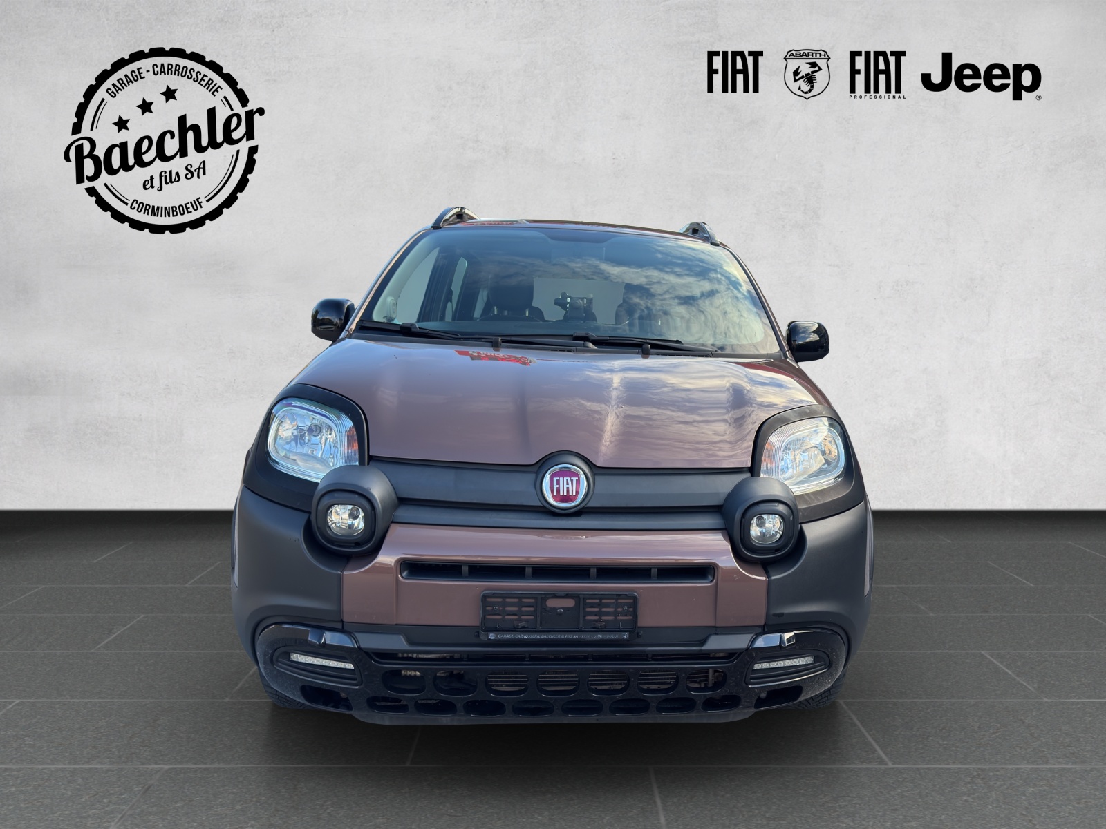 FIAT Panda 0.9 T TwinAir Trussar. 4x4 S/S-showroom-element-2