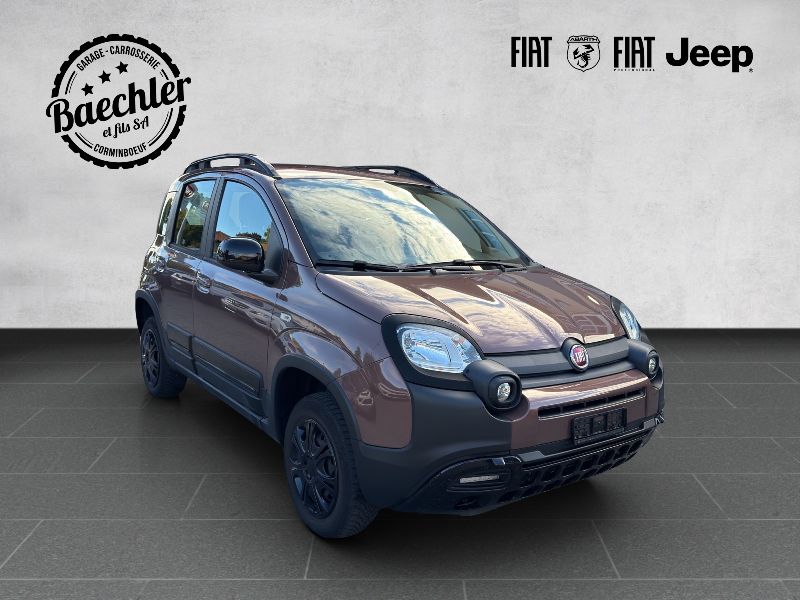 FIAT Panda 0.9 T TwinAir Trussar. 4x4 S/S-showroom-element-1
