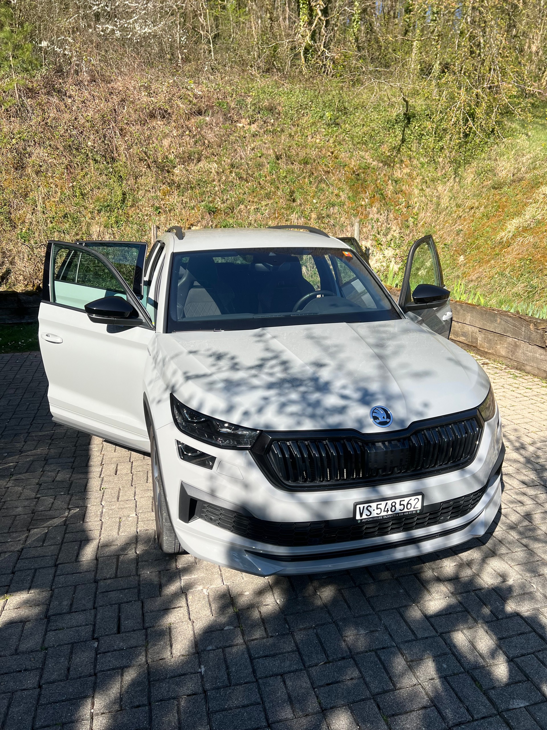 SKODA Kodiaq 2.0 TDI CR SportLine 4x4 DSG-image-4