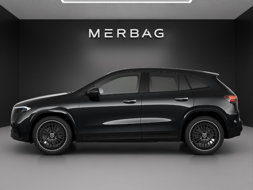 MERCEDES-BENZ EQA 350 66,5 kWh 4Matic Swiss Star-image-1