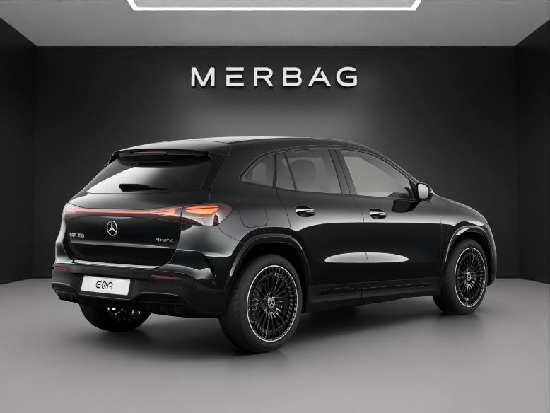 MERCEDES-BENZ EQA 350 66,5 kWh 4Matic Swiss Star-image-4