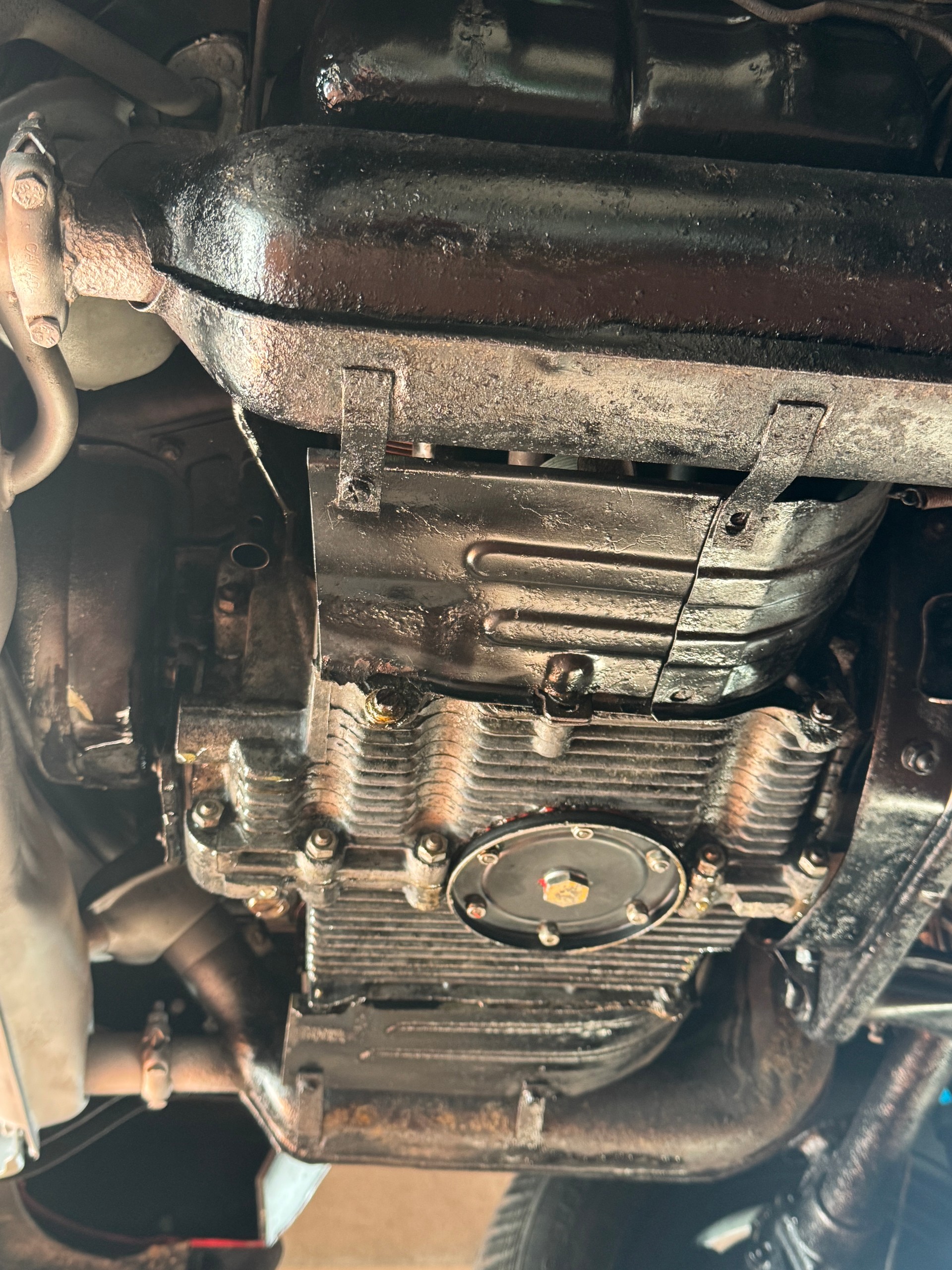 VW T2-image-16