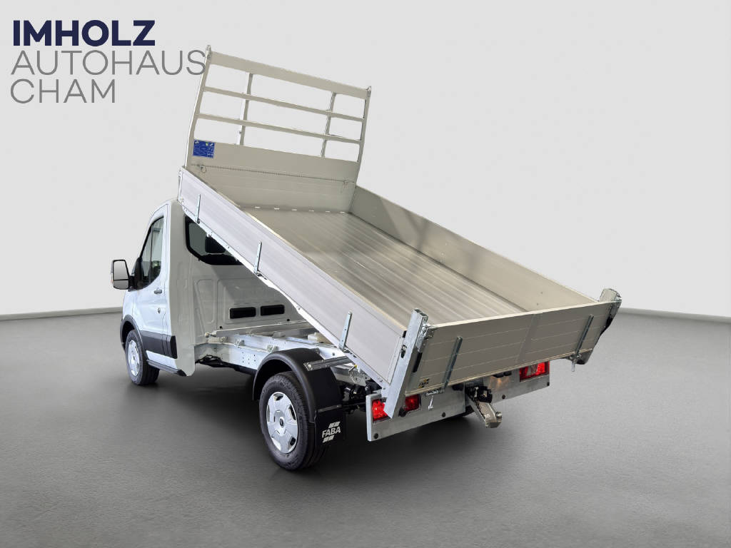 FORD Transit Kab.-Ch. 350 L2 2.0 EcoBlue 165 PS Trend Kipper-showroom-element-1