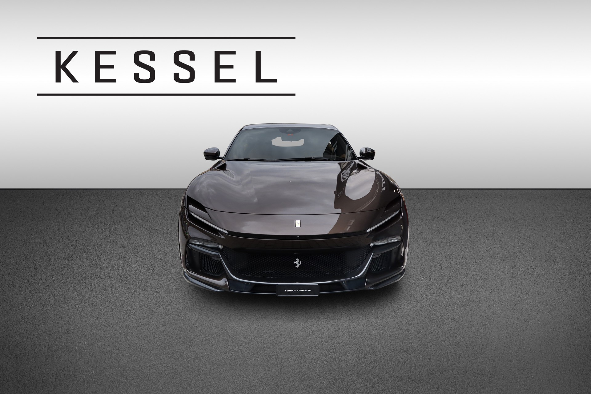 FERRARI PUROSANGUE-image-0